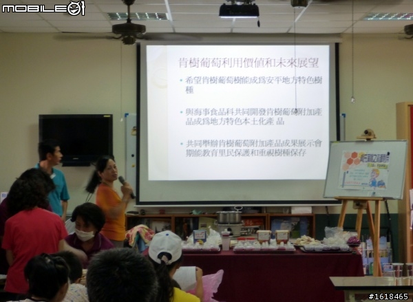 肯氏蒲桃採集PK賽,k隆星人也來幫忙