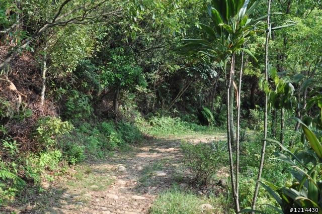 Luxgen7 SUV挑戰極限off-road-2