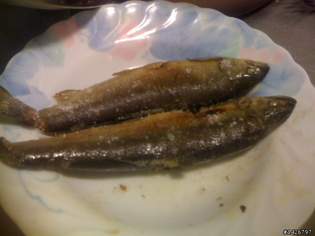 海釣白帶魚+香魚熱燒