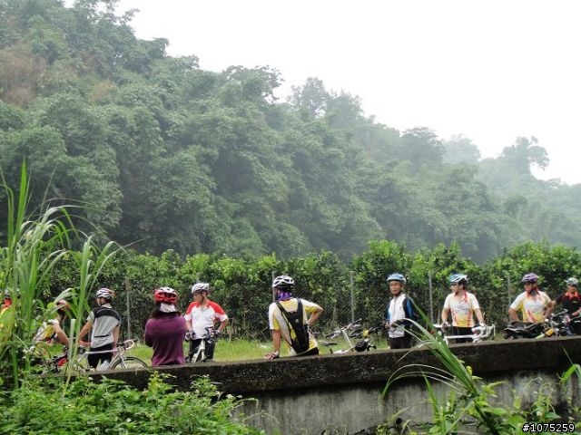 (照片)20100807林內坪頂龍過脈採龍眼行