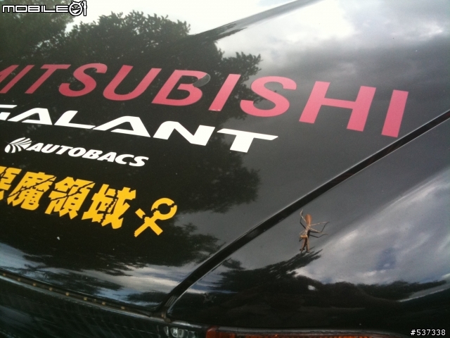 螳螂也是愛.....日系車的