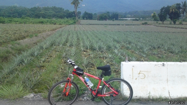 2010-08-21 大津瀑布一日遊