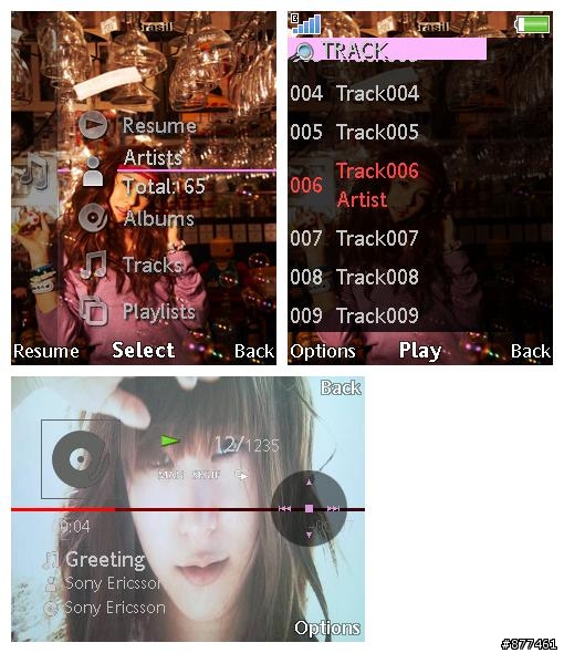[240*320]最終發 抽抽/Ssica/桑寶/帕尼/孝淵/Yuri/秀英/允寶/徐賢 主題(含媒體)