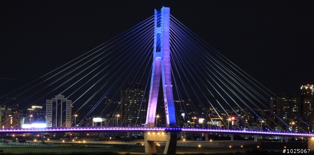 [新北橋]欣賞美景的同時.....也請您發揮公德心