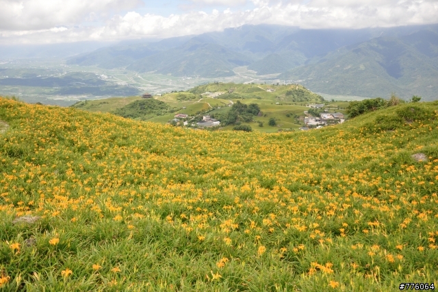 D90超新手 花蓮 六十石山 金針花海 試拍（8.15更新 小環島圖集)
