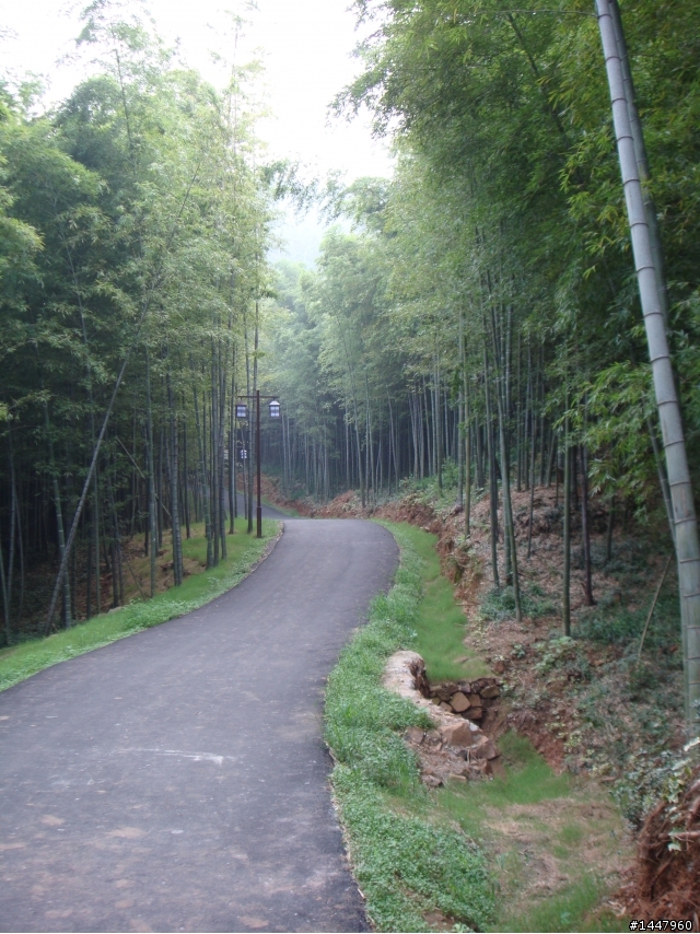 新手上路-蘇州最美的山村