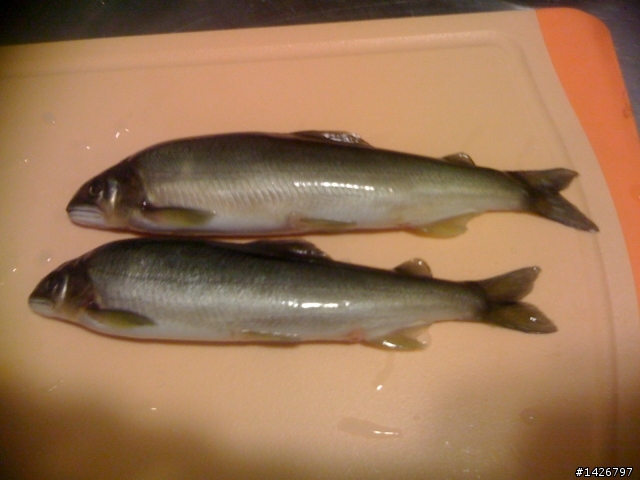 海釣白帶魚+香魚熱燒