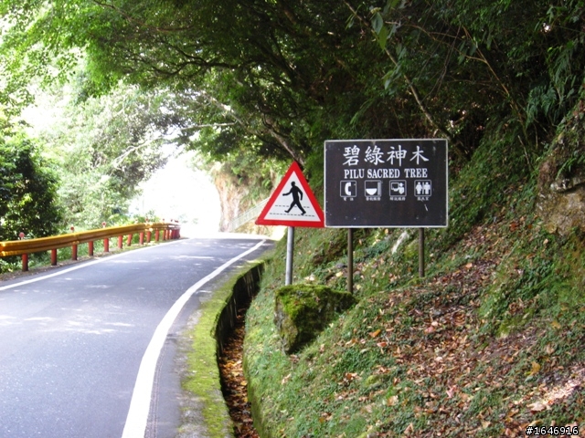 兩橫+蘇花  東進武嶺行