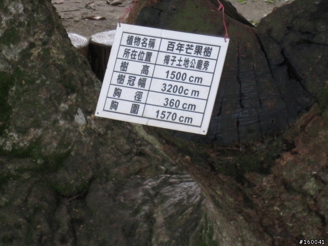 東豐自行車綠廊與后豐鐵馬道