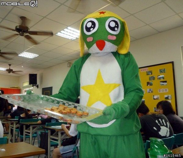 肯氏蒲桃採集PK賽,k隆星人也來幫忙