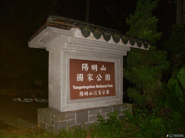 夜騎陽金