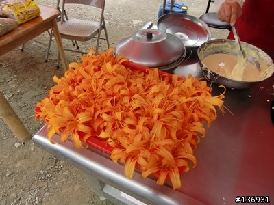 【遊記】990827-990829糜爛精實百分百的三天花東行