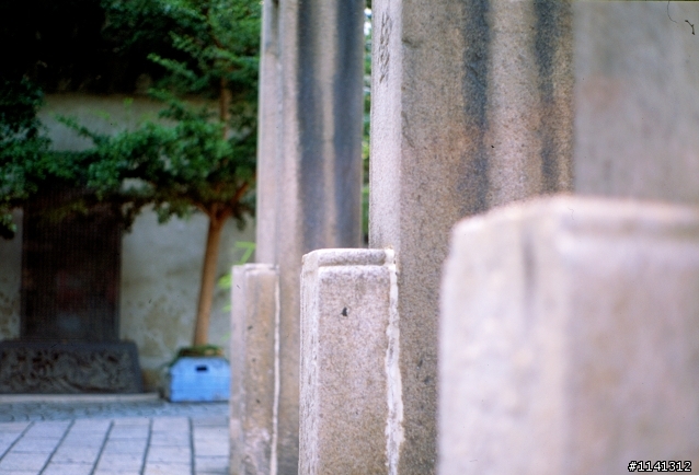 pentax拍正片