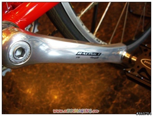 pinarello  veneto休閒公路車