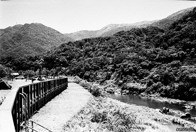 Kodak Tri-X 400 對比與顆粒都這麼強, 正常嗎?
