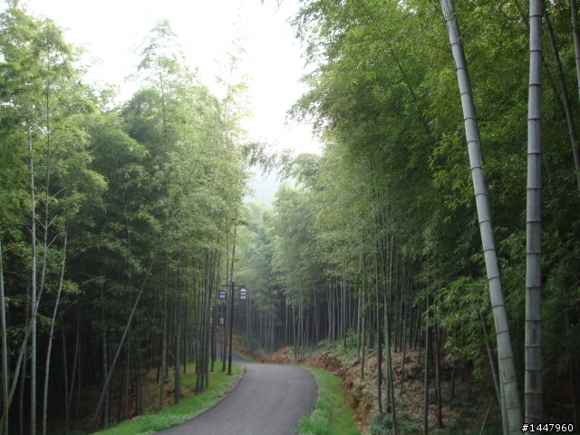 新手上路-蘇州最美的山村