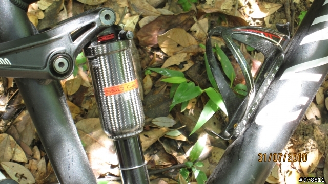 我的  Canyon Nerve Mr