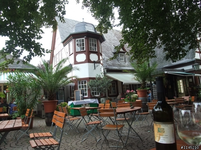 我在萊茵河買醉 ~ @@