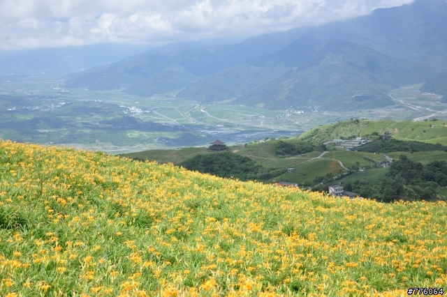 D90超新手 花蓮 六十石山 金針花海 試拍（8.15更新 小環島圖集)