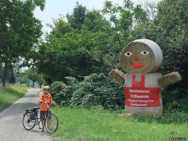 我在萊茵河買醉 ~ @@