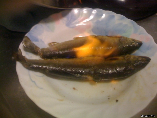 海釣白帶魚+香魚熱燒