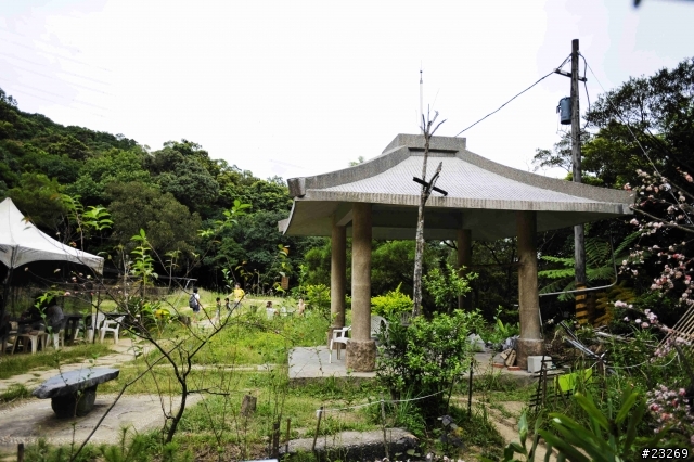 帶女王來到汐止新山夢湖...