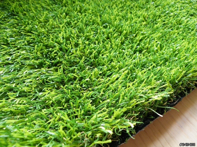 [簡單分享]真草?假草?傻傻分不清楚之Artificialturf草皮達人人工草皮