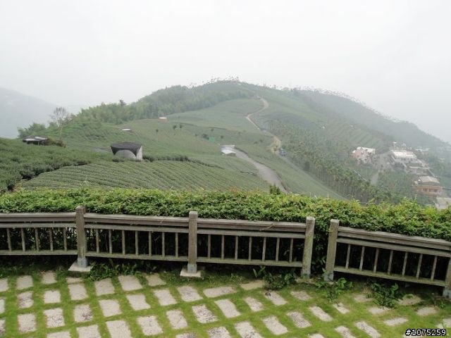 (照片)20100808碧湖山休閒騎