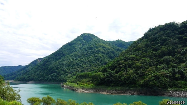 [野狼也曾傳奇] 鹿谷忘憂森林之旅