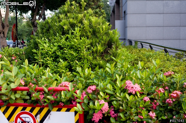SONY NEX-5、Panaconic GF-1、Pentax k-x 極簡單測試