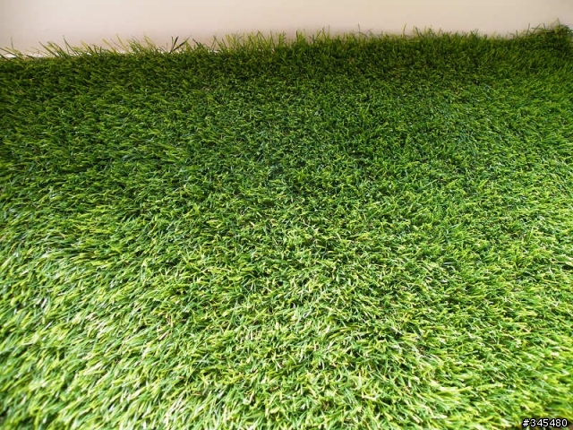 [簡單分享]真草?假草?傻傻分不清楚之Artificialturf草皮達人人工草皮