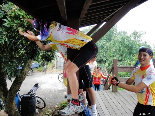 (照片)20100807林內坪頂龍過脈採龍眼行