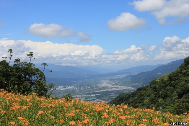 花蓮泛舟金針花之旅回來囉~開花文!