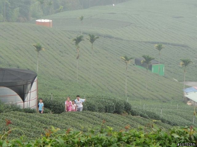 (照片)20100808碧湖山休閒騎