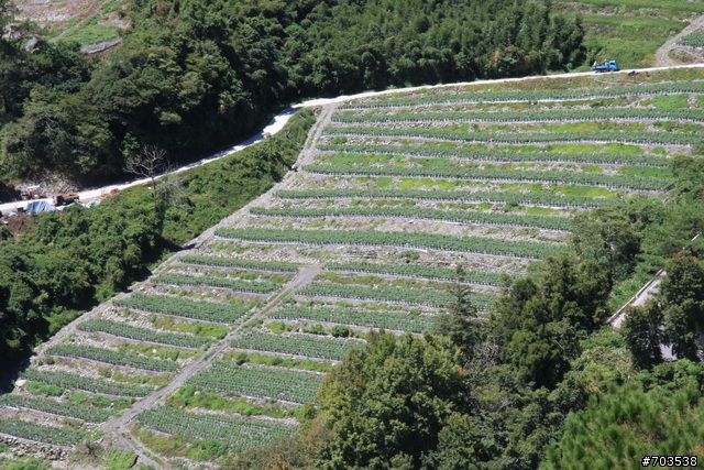 愛將-南橫之旅(2010.09.05)