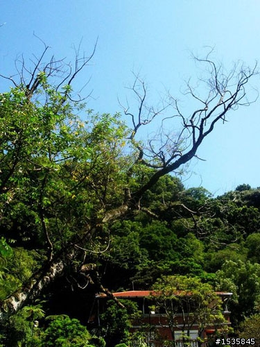 招牌消失中的大屯山助航站……