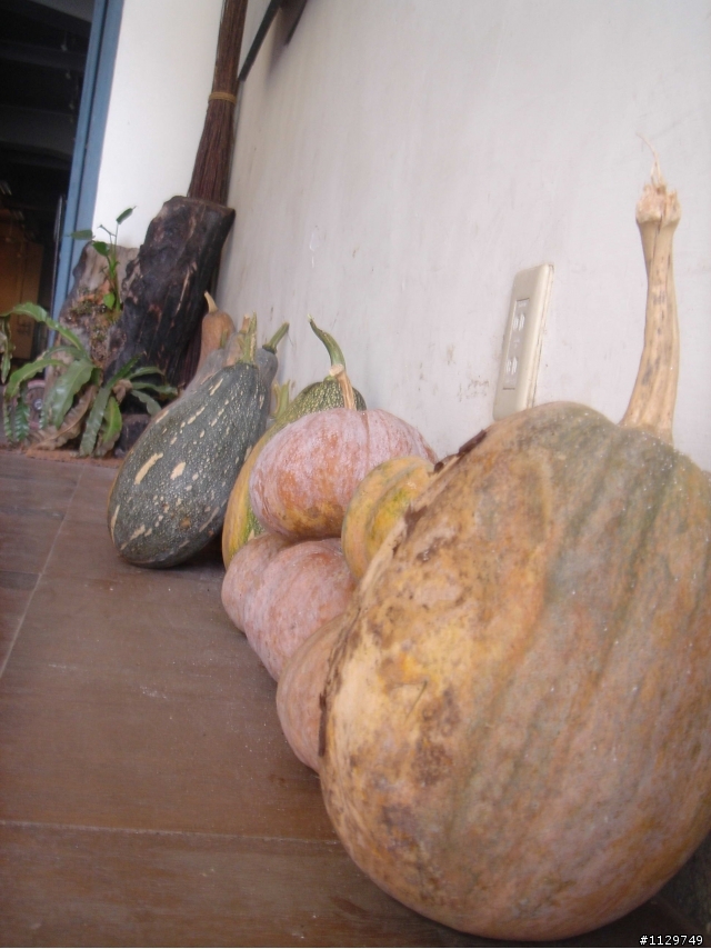 橫渡日月潭+日月潭路線考察!