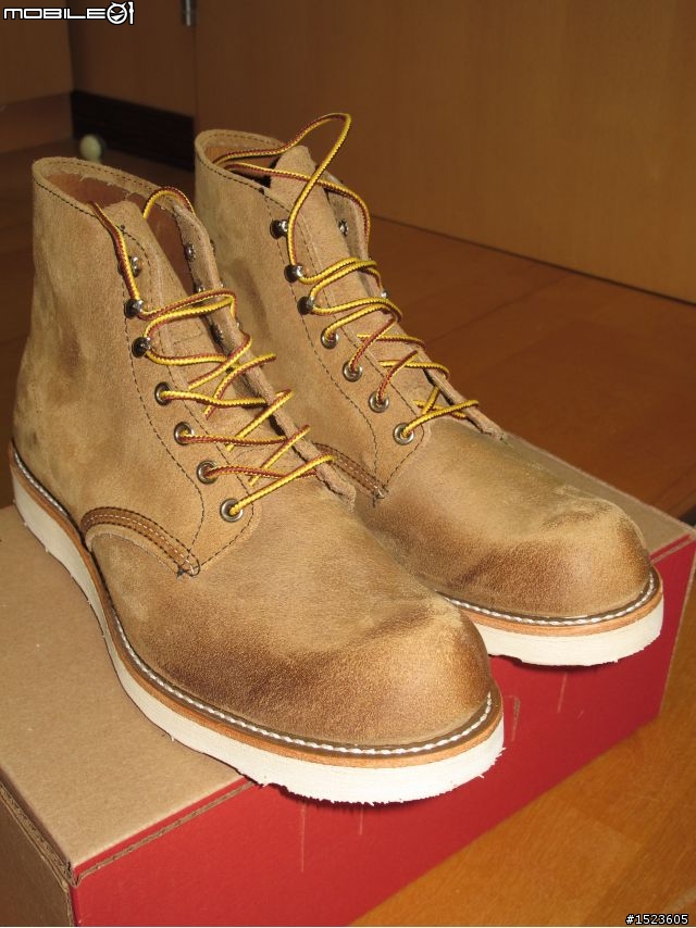 【開箱】Red Wing 8181 10D