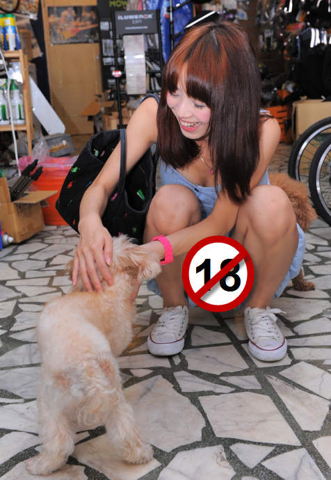 女王吵著要換車--該是說分手的時候了~~~(獎品公布)