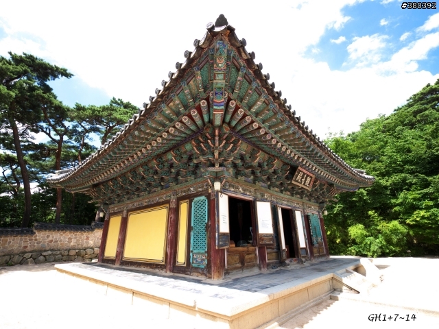 GH1/E-P1韓國行之1—東部