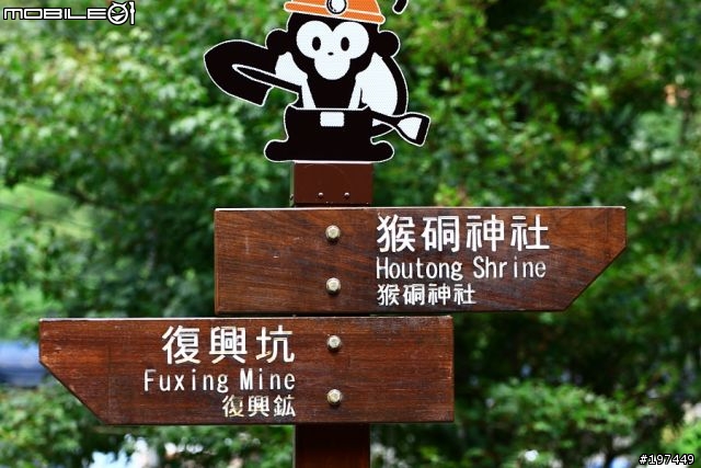 猴硐貓村-除了貓之外也有很多好拍的呢