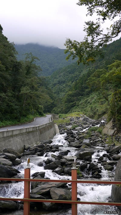 縣道 120  往觀霧大鹿林道