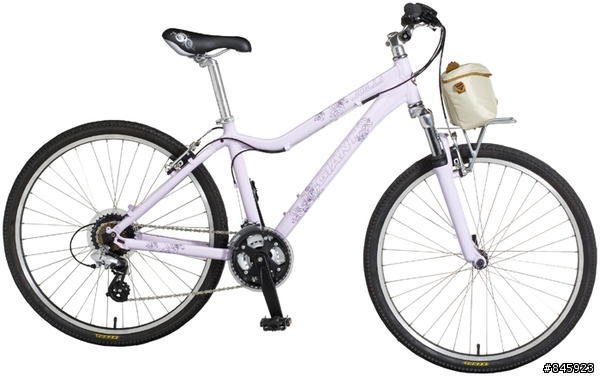 這種吊車架可以吊GIANT的JOLLI嗎??