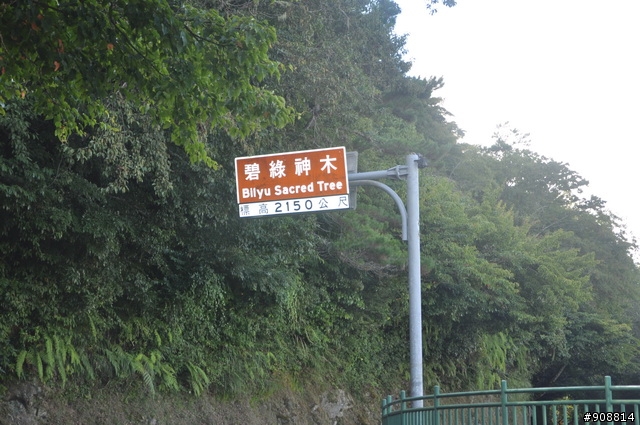 慶祝生日, 暫時拋開2010環西大賽, 自己和連襟跑去2天1夜的中台灣橫貫高山挑戰