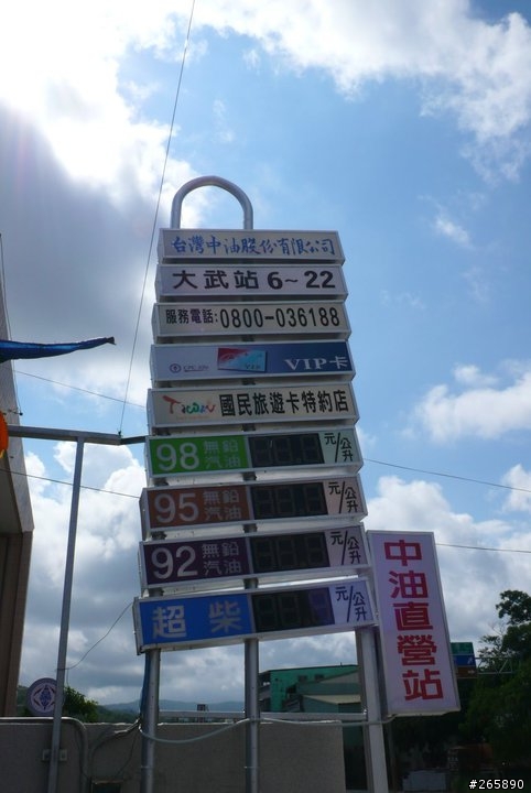 19耐環島圓夢 - 小黃蜂獨飛 @ 2010.09.28