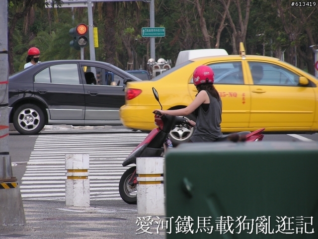 感謝兩位不知名女大生，路見石塊，搬到路邊，避免意外發生。。有圖加鐡馬載狗亂逛照片（已加小狗圖）