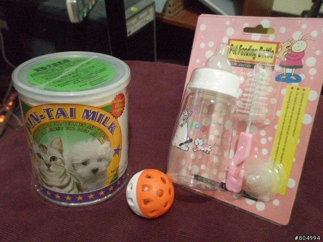 【送養】可愛的小幼貓2枚，希望可以找到溫暖的家
