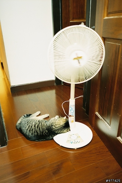 [CONTAX] 老G2，新開箱！...新增首卷拍攝成果
