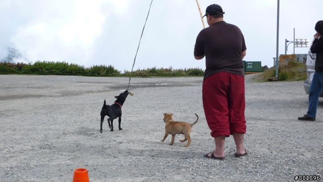 地獄般的合歡團