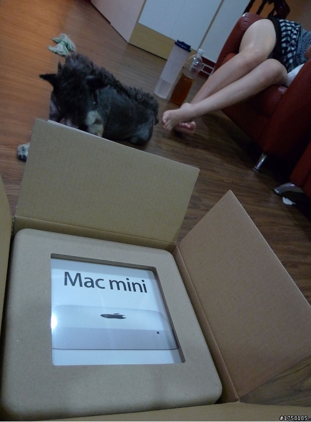 一人一台mini server  救救01....